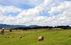 The Monroe County levels open southeast of Swoops Knobs near Union, West Virginia. Photo courtesy Foxfire Realty.
