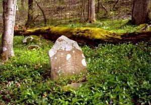 A headstone sales in a sea of periwinkle near Grandview, West Virginia (WV).