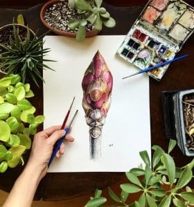 A buckeye bud comes into focus in a study by Rosalie Haizlett.