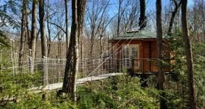 The Holly Rock Treehouse seems to float above a grove of hemlock.