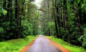 Might a headless ghost still haunt the forests around Bakers Run Campground?