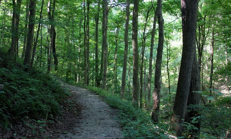 Hundreds of hikers visit the trail system annually at Bethany College.