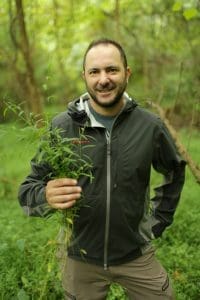 WVU Biology professor Craig Barrett studies the invasive plan Japanese Stiltgrass. He went on a walk on the rail trail to find the plant a few miles south of campus on August 28, 2019. 