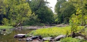 Lick Creek empties into the New River in a shoals above Bluestone Lake.