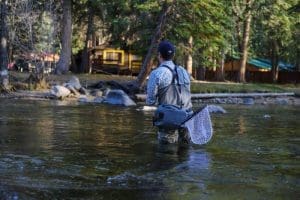 An angler casts into scenic Paint Creek, hidden just out of site of Interstates 64 and 77.
