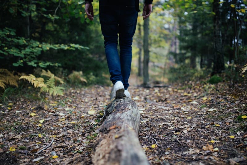 Hiker in West Virginia A hiker balances on a log along a West Virginia forest trail.