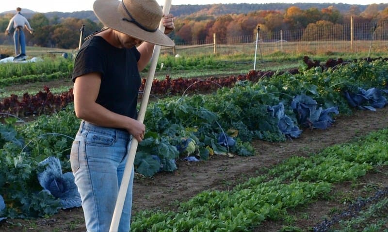 Farm manager Susanna Wheeler tends a garden at New Roots Community Farm near Fayetteville, West Virginia.