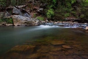 Paint Creek wanders through a green canyon.