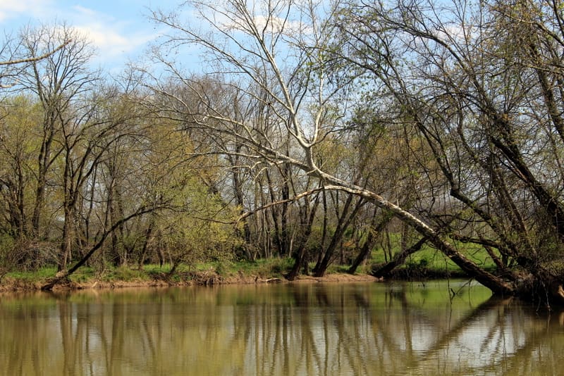 Cabell County Spring arrives on the lower Mud River in Cabell County near Howell's Mill.