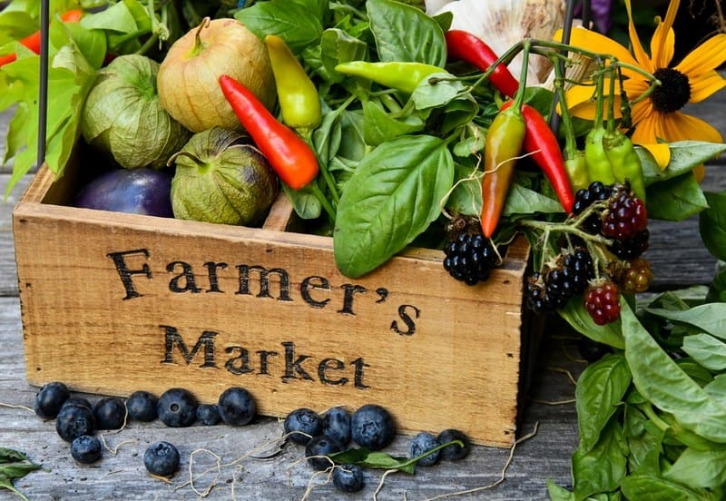 Farmers' Markets are growing increasingly popular in West Virginia as the state's population rebounds.