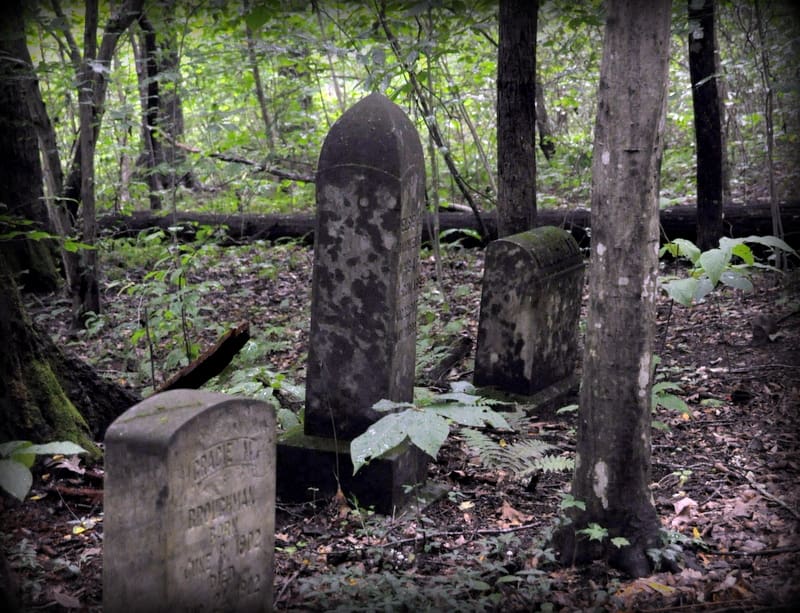 Headstones hide in the dim light of wooded Red Ash Island in the New River Gorge.