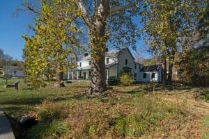 Estimated to be as old as the tavern itself, a sycamore shades the lawn of the landmark.
