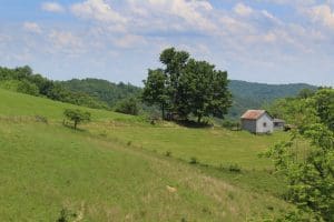 A ridgetop farm opens among the hilly woodlands of Clay County, West Virginia.