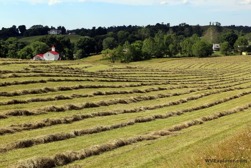 Mason County, West Virginia Hay lays in windrows on a farm in Mason County.