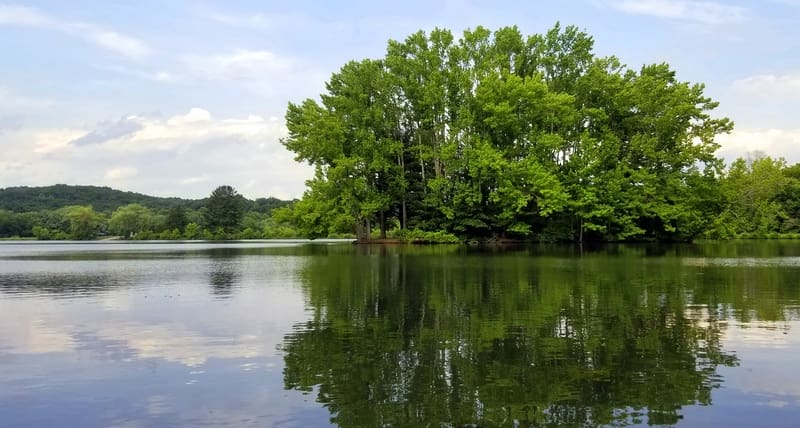 One of two small islets are features at Rollins Lake in the Rollins Lake Wildlife Management Area.