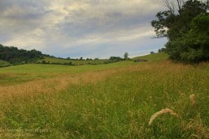 Rolling meadows near Flatwoods, West Virginia, in Braxton County.