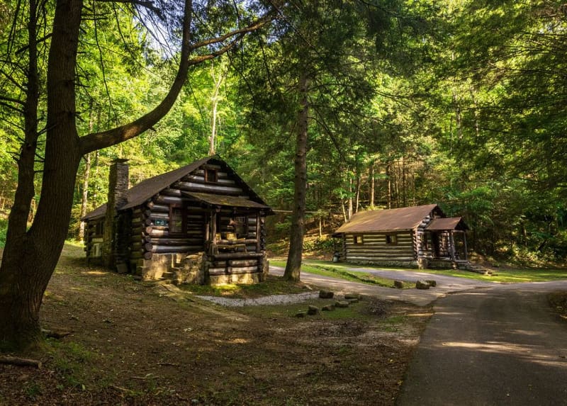 Rustic Cabins in a West Virginia State Park Cabins in state-managed parks in West Virginia are welcoming record in-state visitors. (Photo: W.Va. Dept. of Commerce)