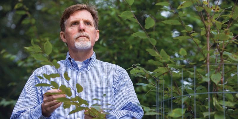 Dr. Greg Dahl is working to improve the urban landscape in West Virginia.