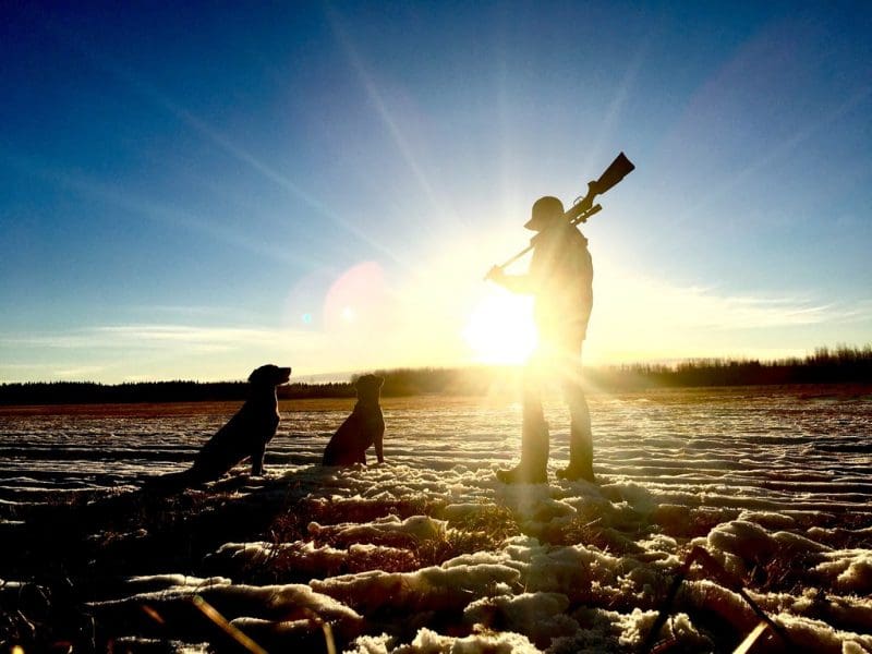 A hunter addresses his dogs during an autumn hunt. (Photo courtesy Seth Schulte)