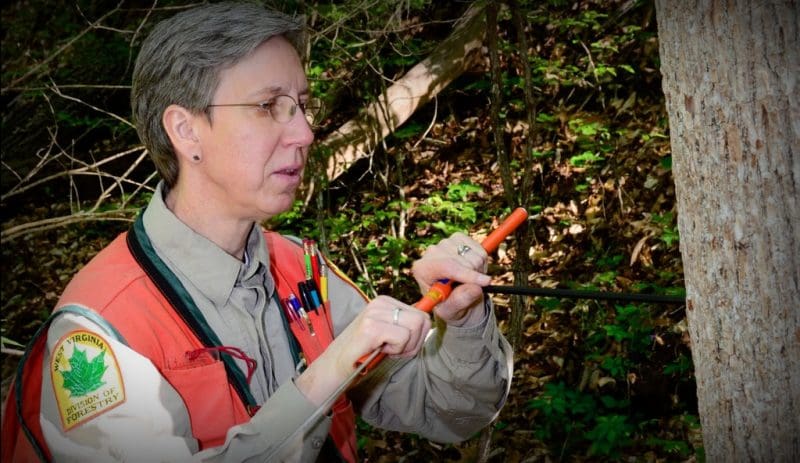 Barbara Breshock of the W.Va. Division of Forestry demonstrates forestry equipment.