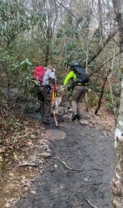Park service rangers and natural resources personnel released the deer into the wild.