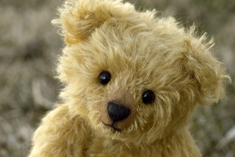 Teddy Bear By Oxana Lyashenko in West Virginia