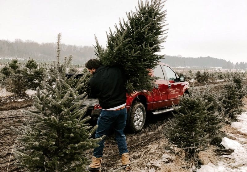 There are good reasons to opt for a live Christmas tree this year, ideally sourced in West Virginia.