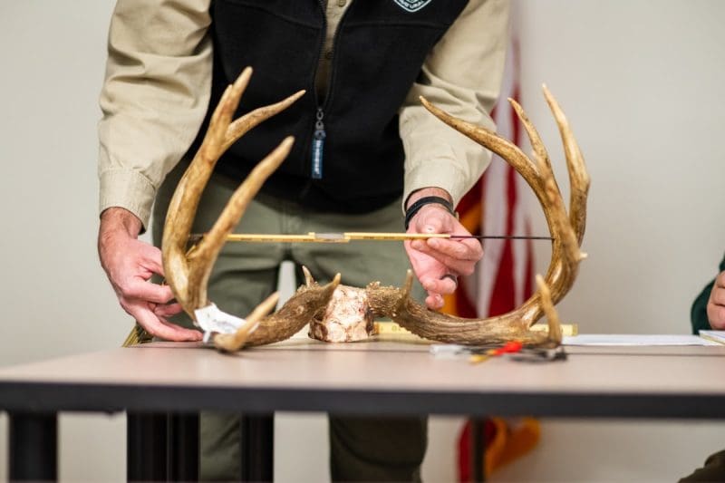 A show sponsor measures a deer rack at the W.Va. Hunting and Fishing Show. (Photo courtesy W.Va. Dept. of Commerce)