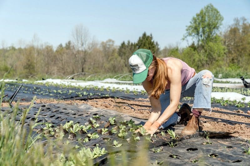 A farmer plants in a West Virginia garden