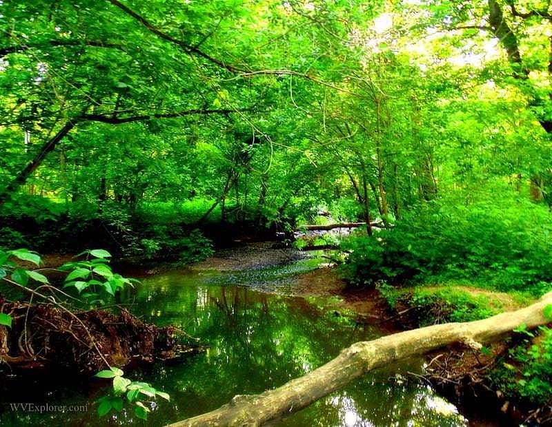 Scary Creek Scary Creek meanders through the Teays Valley.