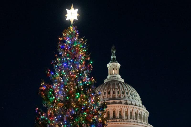 US Capitol Christmas Tree