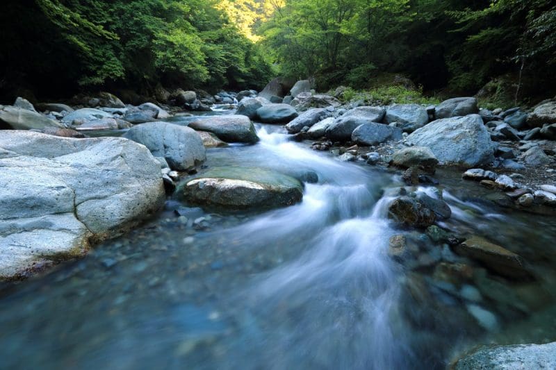 West Virginia Mountain Stream