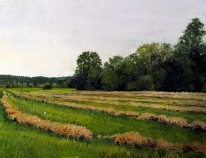 Hay bales in Kanawha Valley in West Virginia