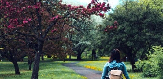 Walking Trails In West Virginia