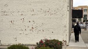 W.Va . DHHR Building Bricks