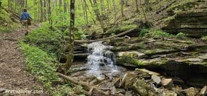 More than a dozen waterfalls drop through the ravine of Big Branch in the New River Gorge in West Virginia.