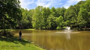 North Hills, West Virginia (WV) is unique in that it is almost entirely residential.