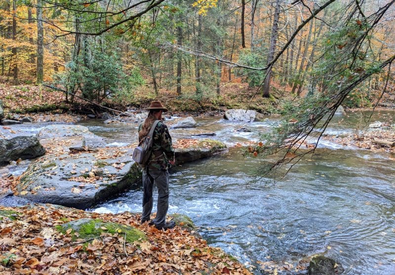 A WVU student found tiny plastic particles that present potential human health risks in every sampled fish.