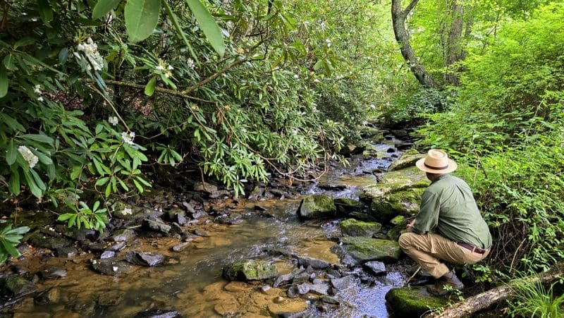A catch-and-release trout stream, Barkers Creek babbles on its way past the McKinney Homestead.