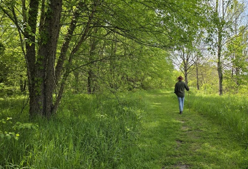 David Sibray strolls at trail at Saint Marys, West Virginia, which has invested in its Ohio River heritage to attract tourists.