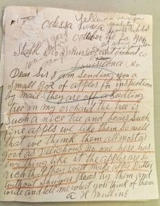 Golden Delicious apples described in a note by A.H. Mullins.