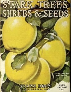 Golden Delicious apples are featured on the cover of a Stark Brothers Catalogue.