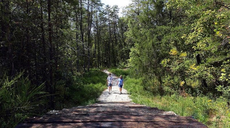 Hikers on biodiversity trail system at Buffalo, West Virginia