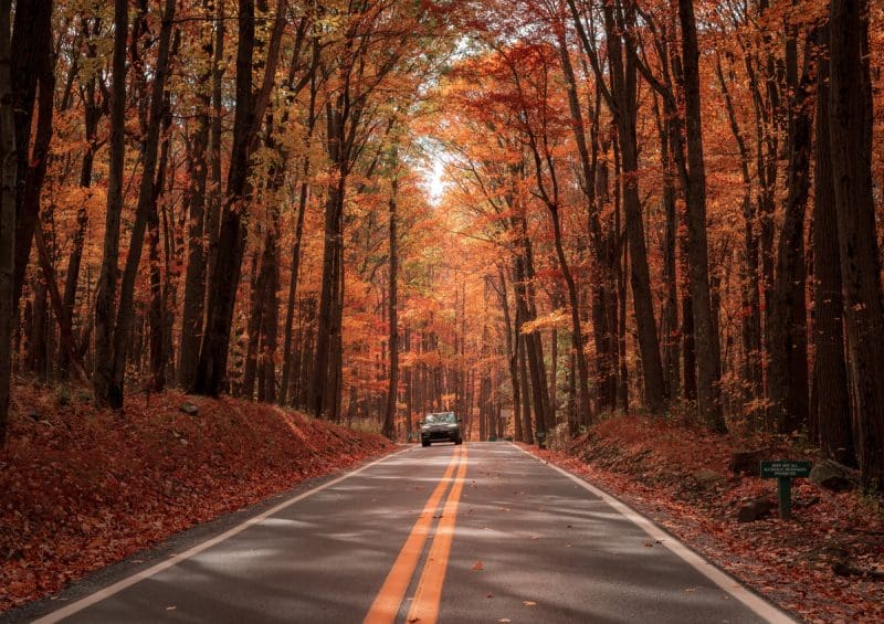 Fall foliage at Coopers Rock State Forest West Virginia Fall Foliage at Coopers Rock State Forest