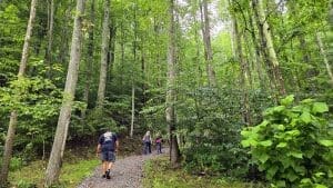 Hatfield Cemetery Trail
