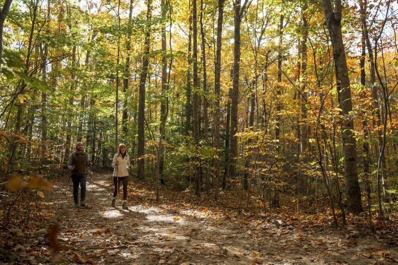 September in West Virginia: Woodland Walks