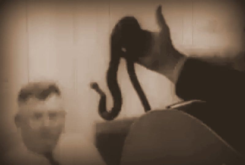 Snake Handling in West Virginia