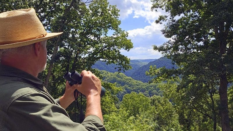 Battle of Stanaford: Piney Creek Gorge