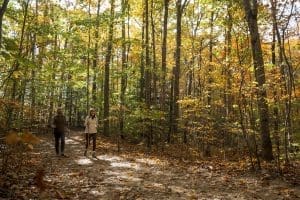 West Virginia Fall Foliage 2025