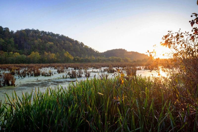 The youth age limit has been expanded and federal duck bag limits take effect Sept. 1.